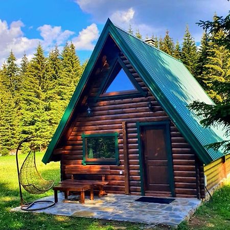 Rajska Suma Villa Zabljak  Ngoại thất bức ảnh
