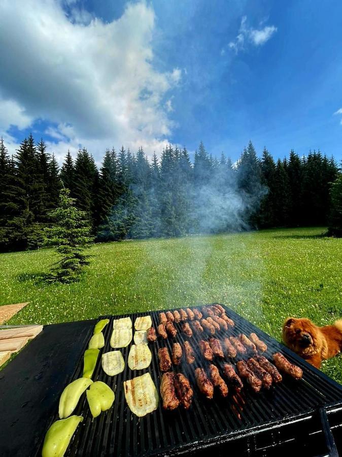 Rajska Suma Villa Zabljak  Ngoại thất bức ảnh